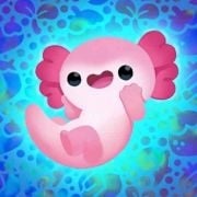 Axolochi